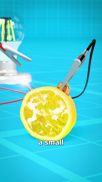 How A Lemon Battery Works 🤔