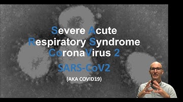 What is SARS CoV2 (COVID19) and how does it get into our cells?