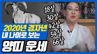 ★2020년 경자년 양띠 운세★(18세 30세 42세 54세 66세 운세)양띠 내년 사업운이 대박?? 202…