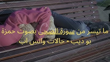 ما تيسر من سورة الضحى بصوت حمزة بو ديب   حالات واتس اب