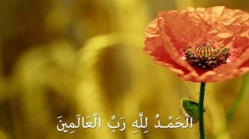 الفاتحة #للقارئ : احمد النفيس -تلاوة رائعة