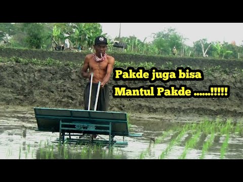 Video: Pembudidaya Manual (49 Foto): Pilih Penanam Mini Bensin Untuk Kediaman Musim Panas, Serta Taman 