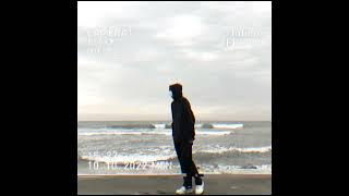 echo - Alexander Stewart [ slowed - aucoustic ]