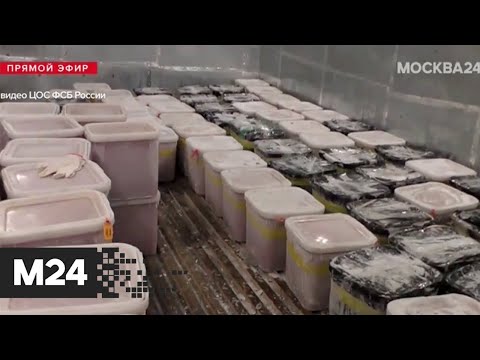 На Камчатке обнаружили нелегальный склад с икрой - Москва 24