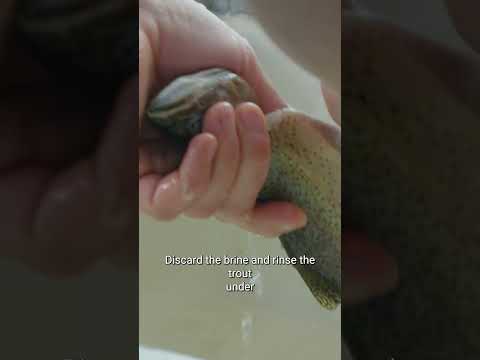 Smoking trout with