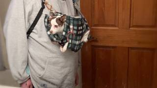 Ⓕ Sewing A Personal Dog Hammock (S2EP1)