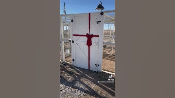 Tis the season! #chickens #chicken #chickenlife #backyardchickens