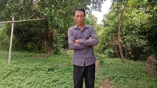 kwv txhiaj ntsuag tu siab heev