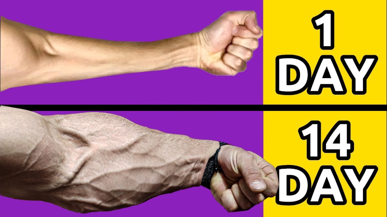 big-forearms-in-2-weeks-home-workout-youtube