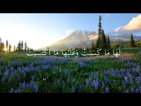 لا يكلف الله نفسا إلا وسعها للشيخ ماهر المعيقلي 