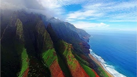 Population Dynamics Part 1