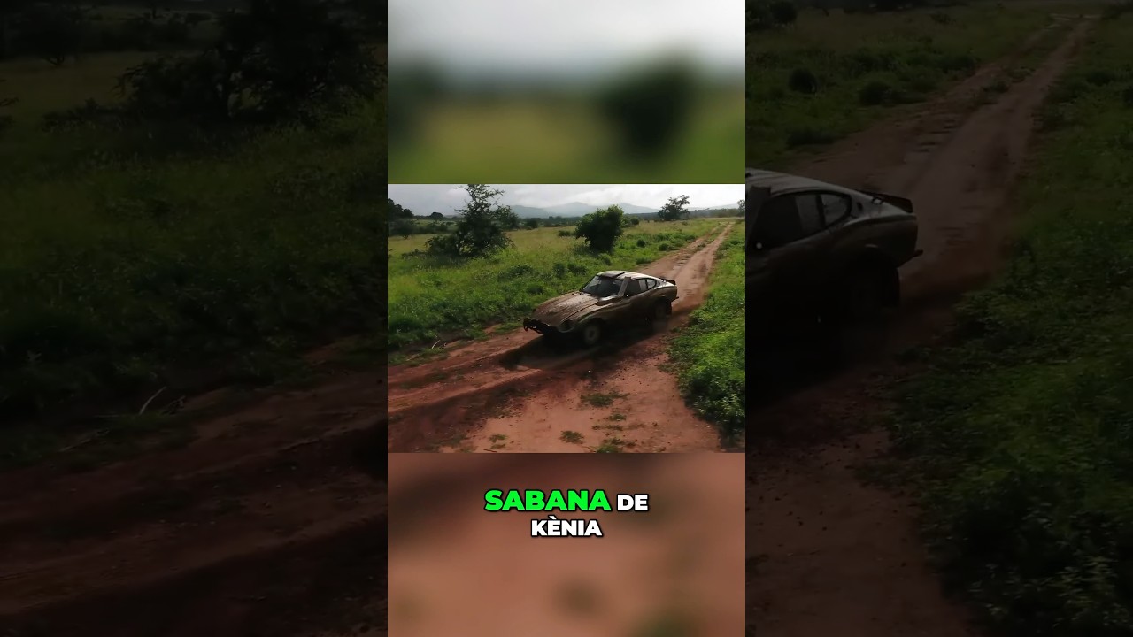 Corrent per la Sabana de Kenia