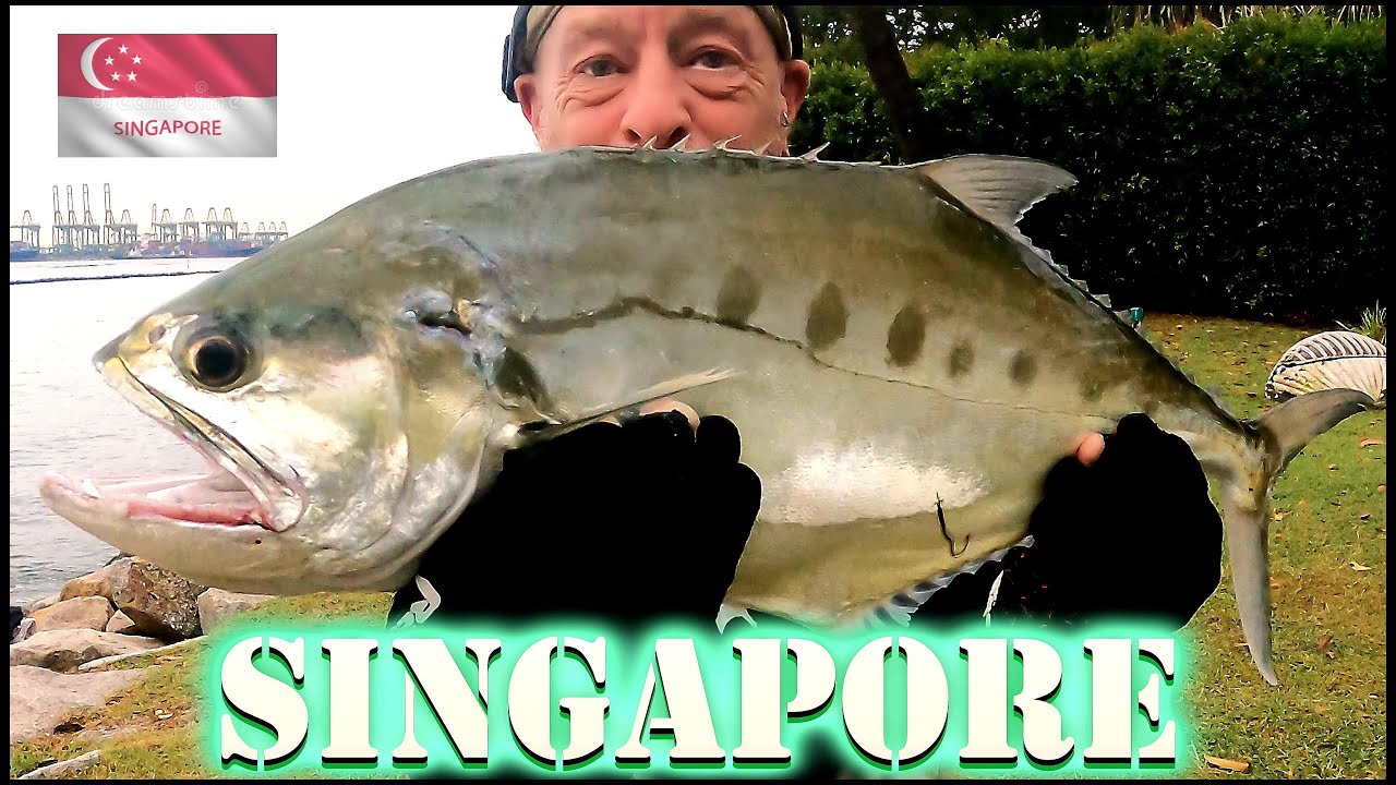 Рыбалка для новичков в Сингапуре — ловля рыбы на приманку с берега