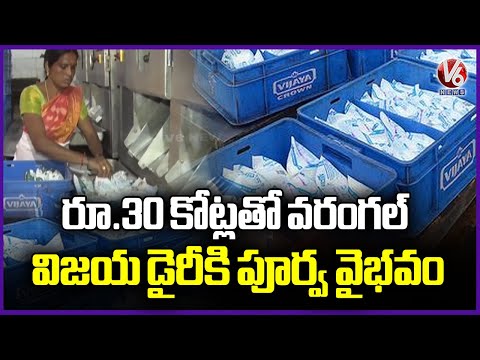 Telangana Govt Sanctioned Rs 30 cr For Vijaya Dairy  |  Warangal | V6 News - V6NEWSTELUGU