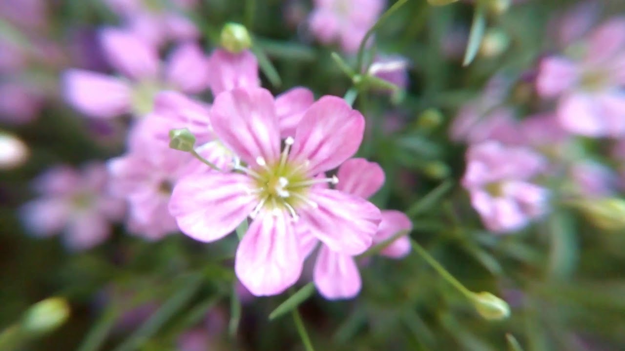 Three different samples genre music (original songs) YouTube