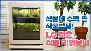 식물생활가전 LG 틔운 직접 키워보니! 실물에 수백 쓴 식물집사의 리얼 후기 [4K]