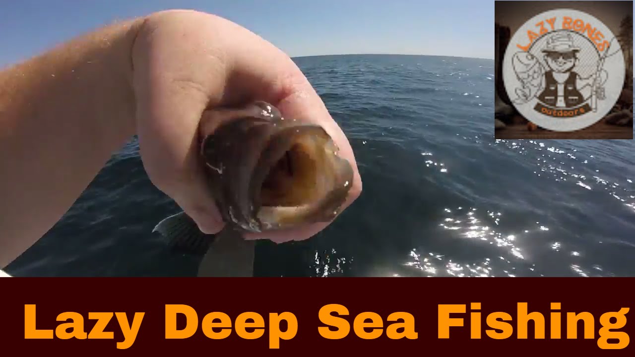 deep sea fishing trips ocean city maryland