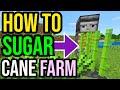 Easiest AFK SUGARCANE FARM In Minecraft Bedrock &amp; Java! (2026!)