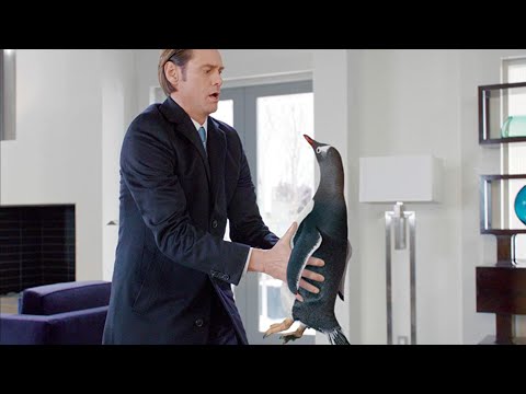 أبوه بيموت وبيسيبله الورث بتاعه بطاريق مش فلوس فبيضطر يعيش معاهم ملخص فيلم Mr Popper S Penguins 