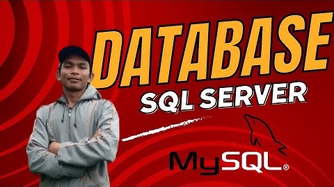 Connect to SQL Server Using Visual Studio 2022 and Run SQL Queries (Create Read Update Delete)
