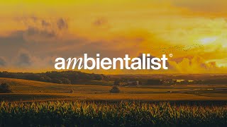 The Ambientalist - Remedy chords