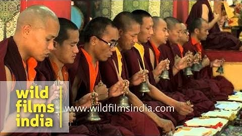Monks of Mindrolling monastery praying for peace
