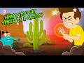 How To Remove Cactus Spines?🌵 | What if You Get Pricked By Cactus? | Desert Plants | Dr. Binocs