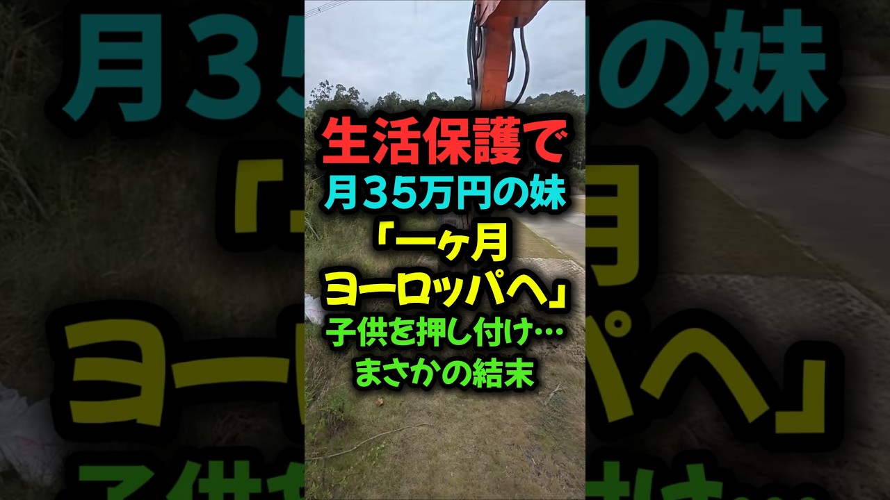生活保護で月35万円の妹「一ヶ月・ヨーロッパへ」子供を押し付け・・・まさかの結末