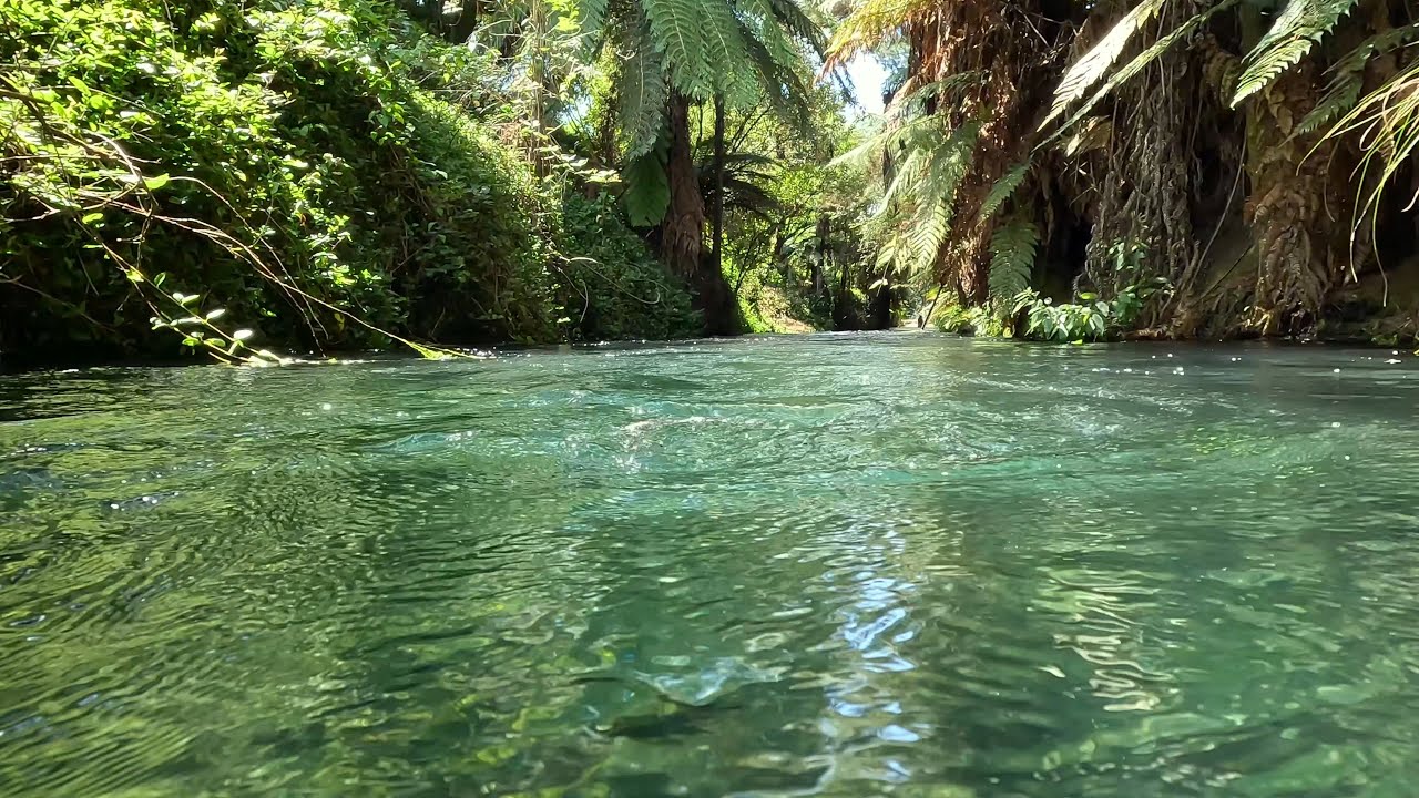 Adventure River Blue Spring GoPro 11, 4K - YouTube