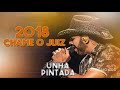 UNHA PINTADA 2018   CD NOVO  CHAME O JUIZ   MÚSICAS NOVAS   AO VIVO POÇO VERDE SE