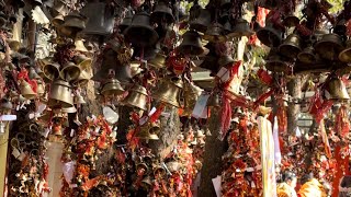 घोडाखाल का गोलू देवता मंदिर | Golu Devta | Ghorakhal Mandir #uttarakhand #ghorakhal #temple #hindi