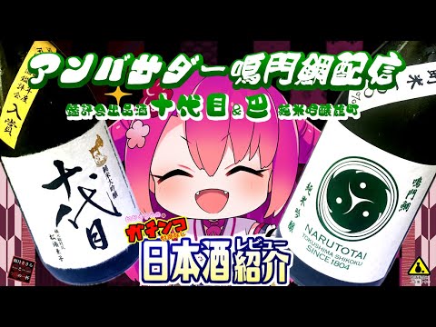 【鳴門鯛】如月ささらのガチンコ日本酒レビュー！【十代目 純米大吟醸 ＆ 巴 純米吟醸 雄町】