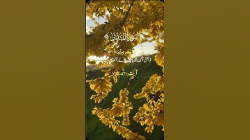 Surat Al-Muddaththir (Cloaked One) | Mishary Rashid Alafasy | مشاري بن راشد العفاسي | سورة المدثر