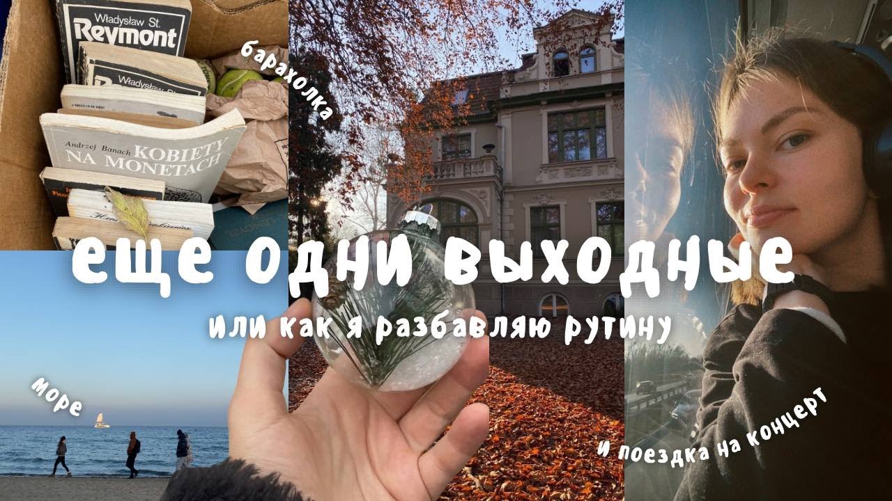 Vlog 25 / самая красивая осень, Сопот и песики