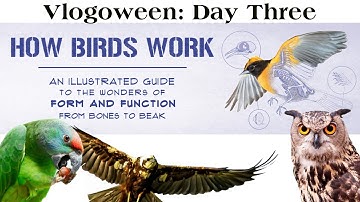 Vlogoween Day Three: How Birds Work
