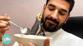 Clingy Parrot Keeps A Young Couple On Their Toes | Cuddle Buddies