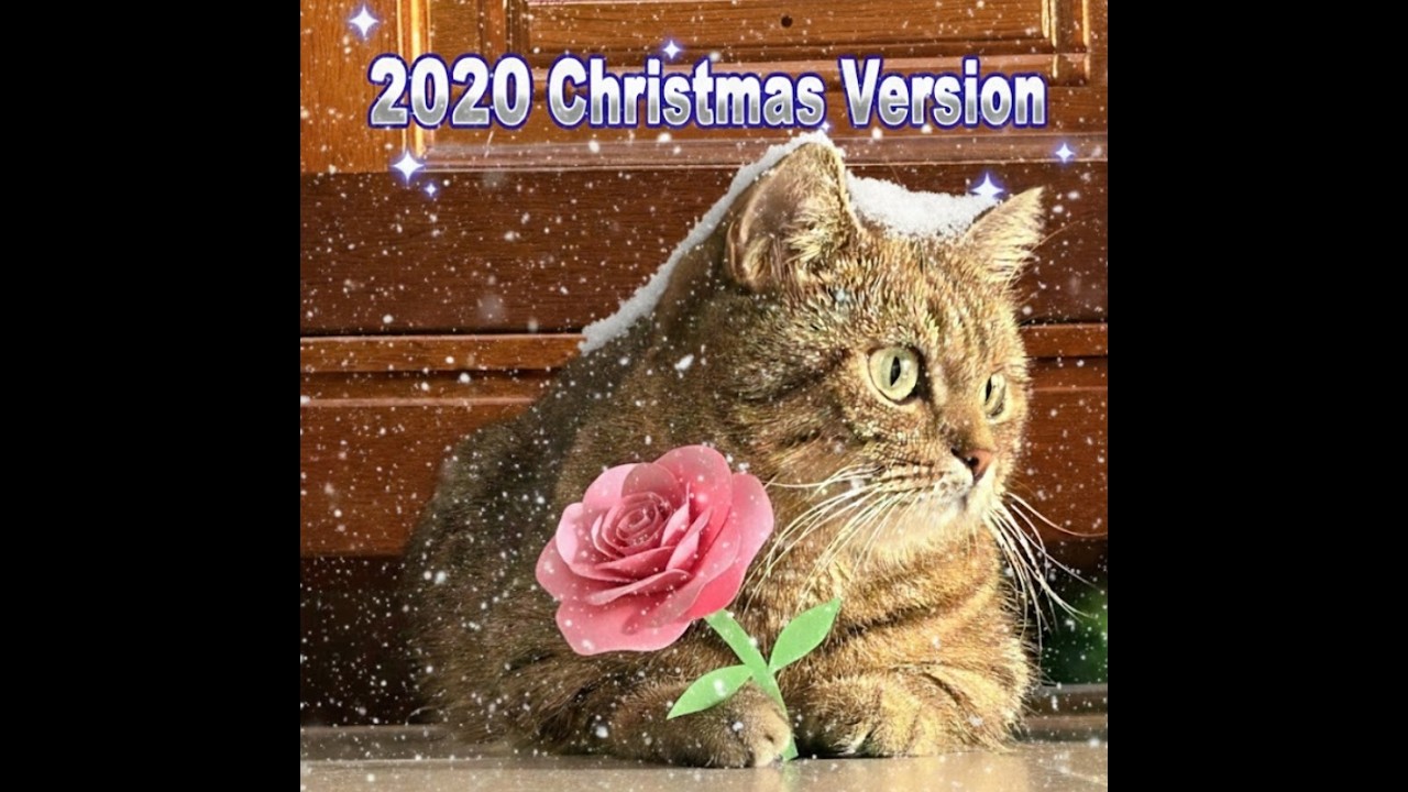 Cover for Traan - 2020 phiên bản giáng sinh hơi buồn ft. Ác Là