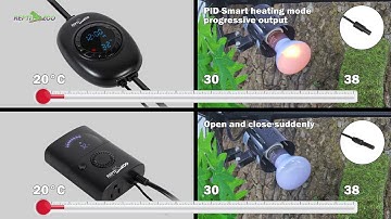 REPTIZOO Digital Temperature Controller Smart Dimming Thermostat Controller