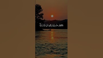 سورة القصص { ٧ _ ٩ } #ياسر_الدوسري #القرآن #انشر_تؤجر