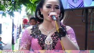 Kijing Miring   Cs Tokek Sekar Mayank