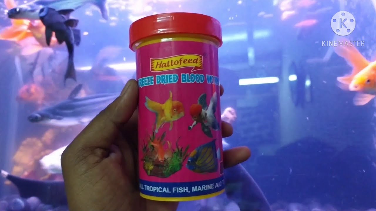 Fish Food for My Community Fish Tank 2 feet Aquarium Decoration and