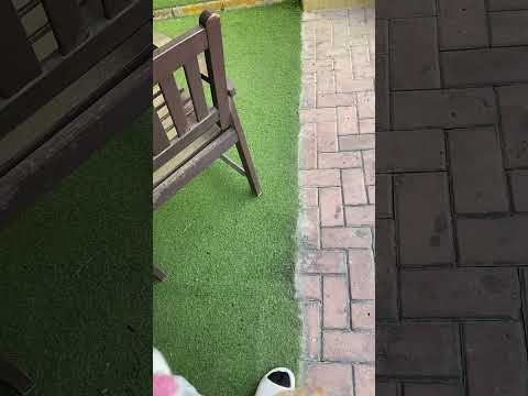 you can hear 👂 the loud noise today so malakas #shortfeed #likesharesubscribe