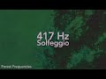 417 Hz Healing Frequency | Emotional Cleansing, Change &amp; Renewal | 1 Hour