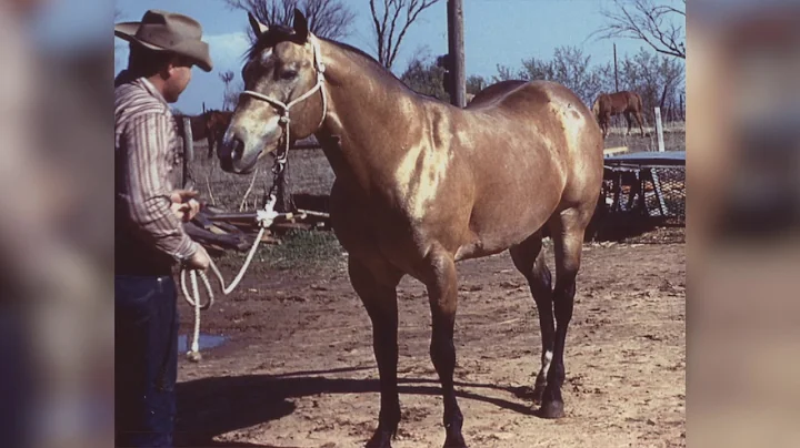 Harlan