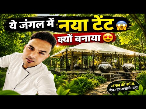 This Luxury Tent in the Middle of the Jungle 😱 | You'll Be Amazed Seeing the Inside 😍 | Jungle Re...