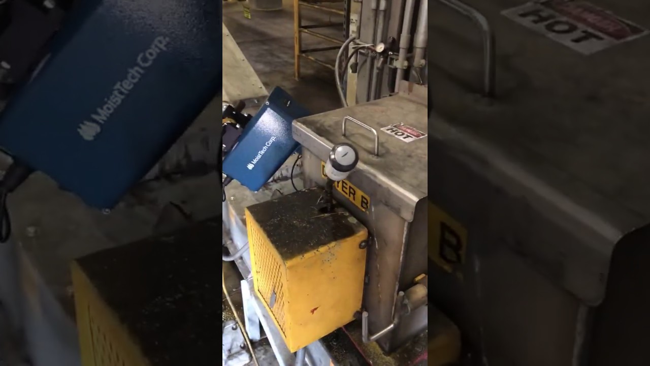 Dried Distillers Grain Moisture Control