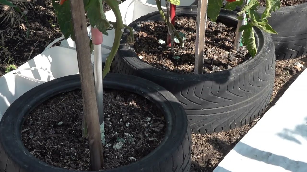 Моята мързелива и икономична еко градина