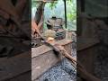 Blacksmith work short video #shorts #shortsvideo #foryou #blacksmith #america #france