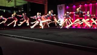 DM Stockholm 2016 senior level 2 Dynamite Dolphins