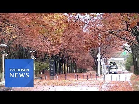 시베리아 삭풍에 초겨울 추위…오늘 중부·경북 &amp;#39;한파 특보&amp;#39;